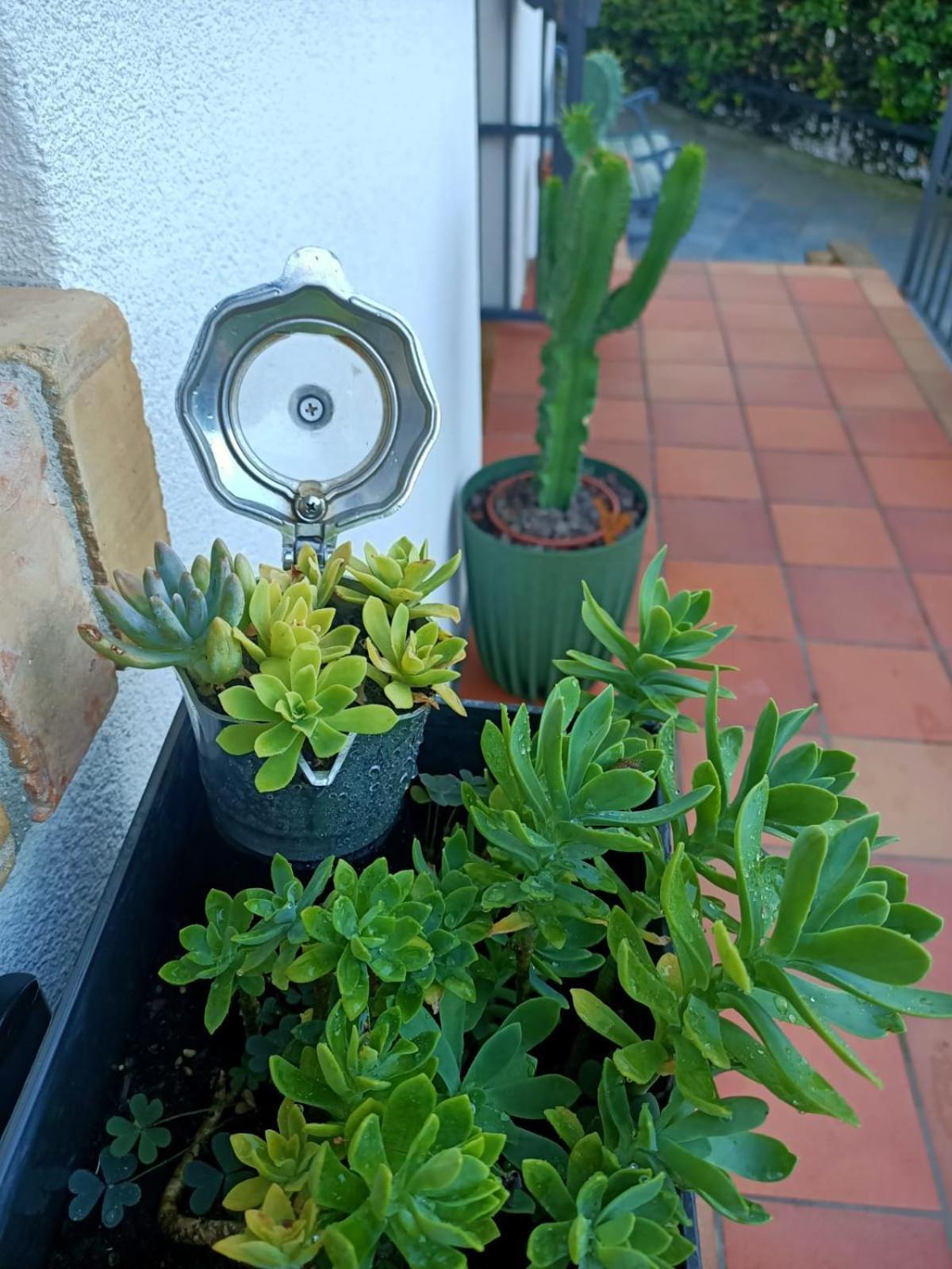 Turriaco Villa Sabry מראה חיצוני תמונה